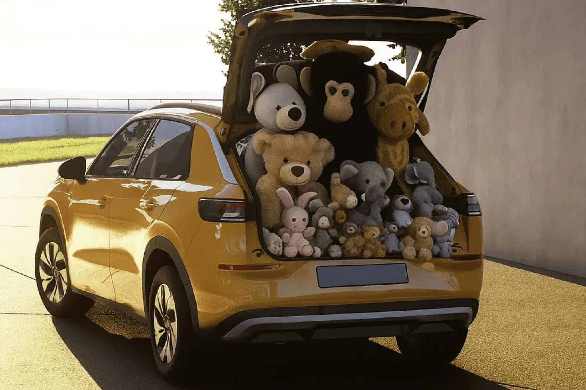 T-Roc Markteinführung