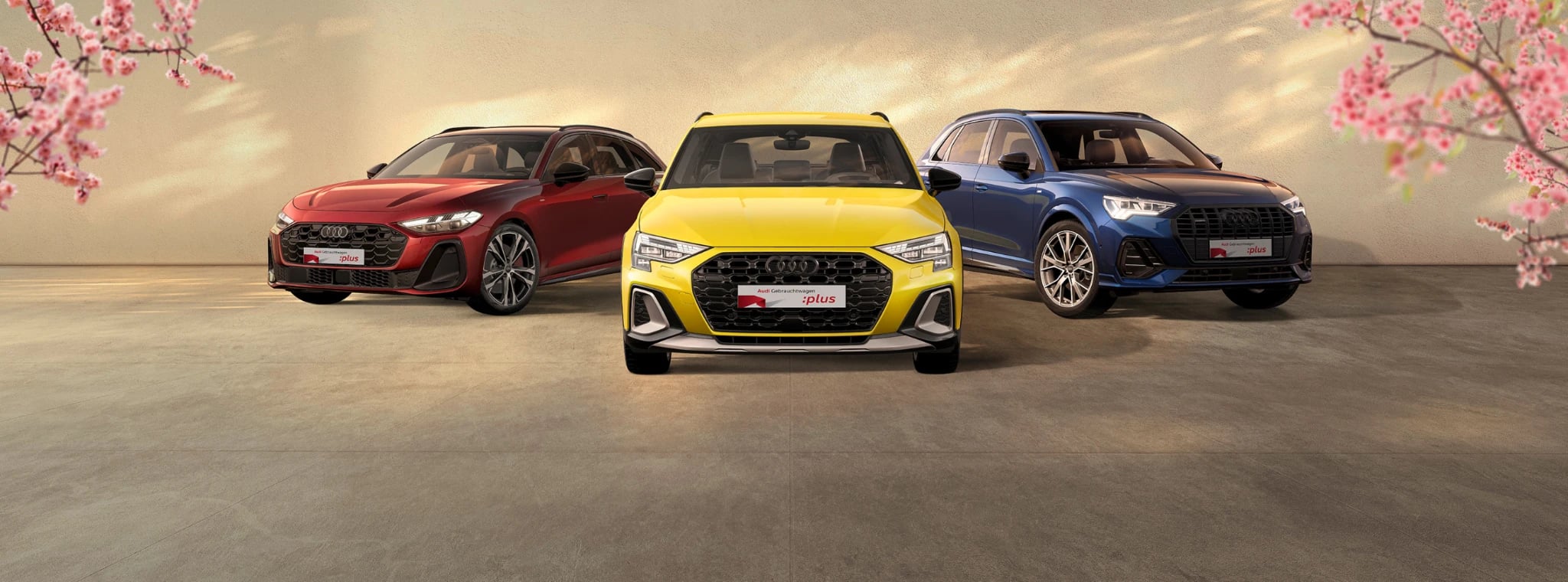 Audi Gebrauchtwagen :plus Wochen